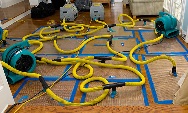 Professional Water Extraction technician working in Rossville, IL
